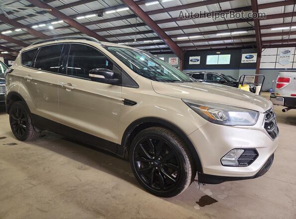 1FMCU0JD4HUC04836 2017 FORD ESCAPE Gold Przód prawy