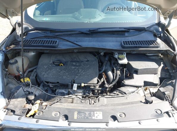 1FMCU0JD5HUC26568 2017 FORD ESCAPE Champagne Вид сзади
