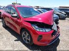 2024 Ford Escape St-line Red vin: 1FMCU0MN3RUB50998