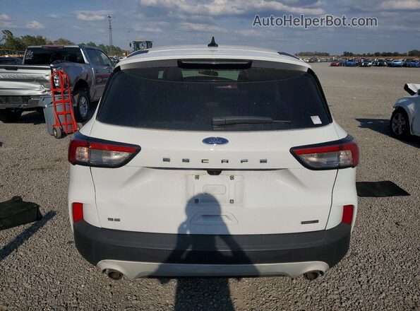 1FMCU9BZ0LUB10072 2020 FORD ESCAPE Белый Вид сзади
