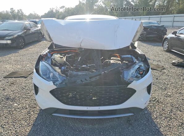 1FMCU9BZ0LUB10072 2020 FORD ESCAPE Белый Вид спереди
