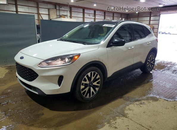 1FMCU9BZ8LUC16933 2020 FORD ESCAPE White Przód lewy