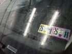 2021 Ford Escape S Белый vin: 1FMCU9F60MUA90701 Damage: Windshield, Broken, Replacement Required