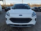 2021 Ford Escape Se Белый vin: 1FMCU9G60MUA81009 Damage: Front Bumper, Multiple Scratches Heavy, 2