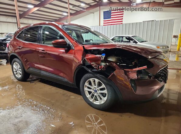 1FMCU9G65MUB09712 2021 FORD ESCAPE Red Przód prawy
