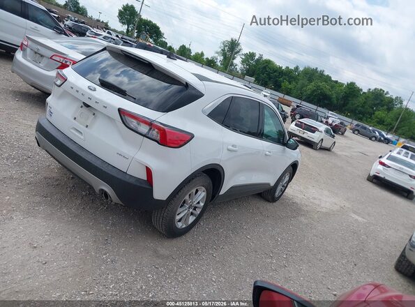 1FMCU9G65NUA08137 2022 FORD ESCAPE White Tył prawy