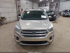 2017 Ford Escape Se Золотой vin: 1FMCU9G96HUA25902 2017 Ford Escape Se Золотой vin: 1FMCU9G96HUA25902