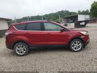 2017 Ford Escape Se Красный vin: 1FMCU9GD1HUA19400