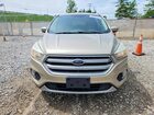 2017 Ford Escape Se Tan vin: 1FMCU9GD1HUC98511 2017 Ford Escape Se Tan vin: 1FMCU9GD1HUC98511