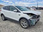 2019 Ford Escape Se Белый vin: 1FMCU9GD6KUA25636