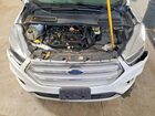 2019 Ford Escape Se White vin: 1FMCU9GD8KUC34117
