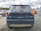 2017 Ford Escape Se Black vin: 1FMCU9GD9HUA66478 2017 Ford Escape Se Black vin: 1FMCU9GD9HUA66478