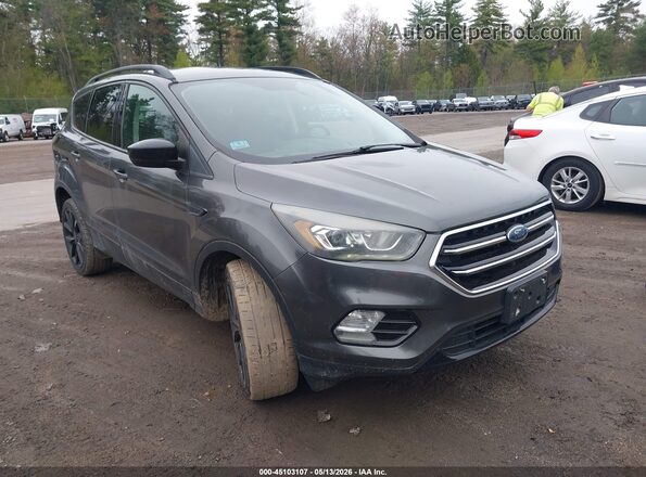 1FMCU9GD9HUD07052 2017 FORD ESCAPE Серый Вид спереди