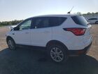 2019 Ford Escape Se White vin: 1FMCU9GDXKUB41261