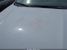 2025 Ford Escape Active Gray vin: 1FMCU9GN4SUB19829