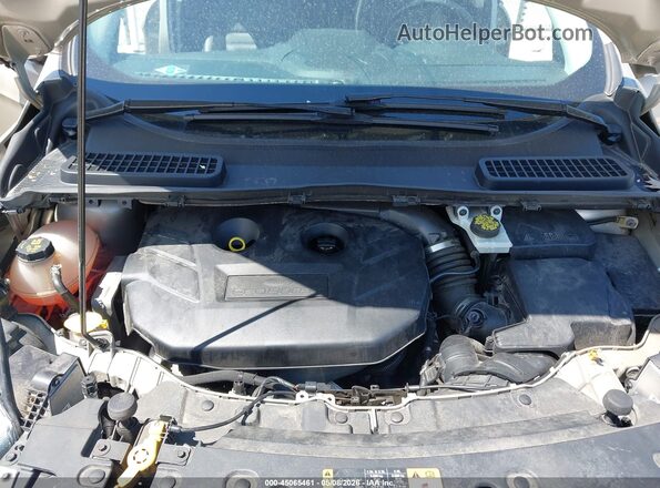1FMCU9J94HUD89325 2017 FORD ESCAPE Золотой Вид сзади