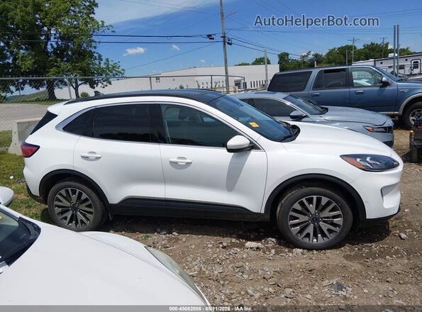 1FMCU9J97MUB20049 2021 FORD ESCAPE Белый Панорамный вид салона 360°