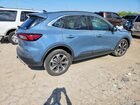 2024 Ford Escape Platinum Blue vin: 1FMCU9JA6RUB41797