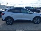 2025 Ford Escape St-line Select Белый vin: 1FMCU9NA8SUB19977
