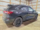 2025 Ford Escape St Line Elite Black vin: 1FMCU9PZ9SUB07520