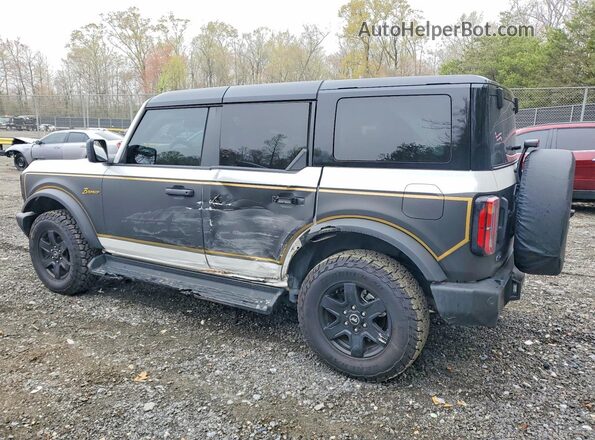 1FMDE8BH9SLB08652 2025 FORD BRONCO Белый Задняя левая четверть