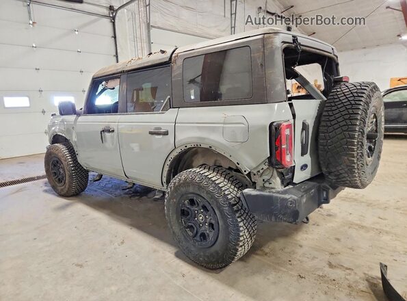 1FMEE2BP1RLB10964 2024 FORD BRONCO Gray Tył lewy