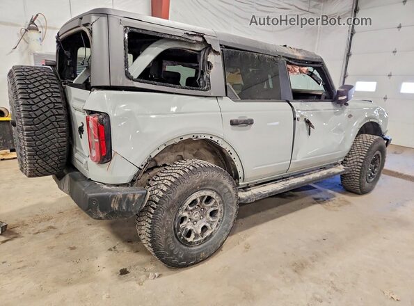 1FMEE2BP1RLB10964 2024 FORD BRONCO Gray Tył prawy