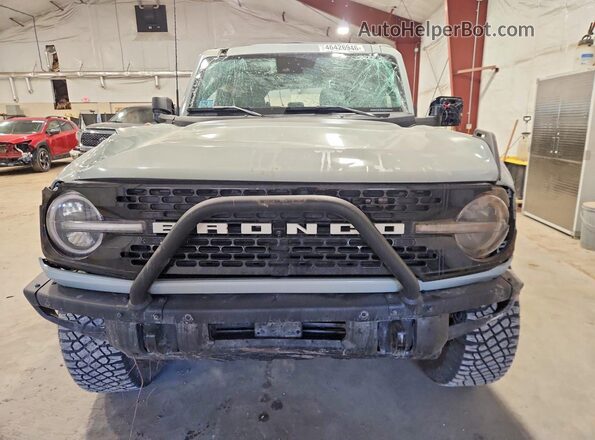 1FMEE2BP1RLB10964 2024 FORD BRONCO Gray Widok z przodu