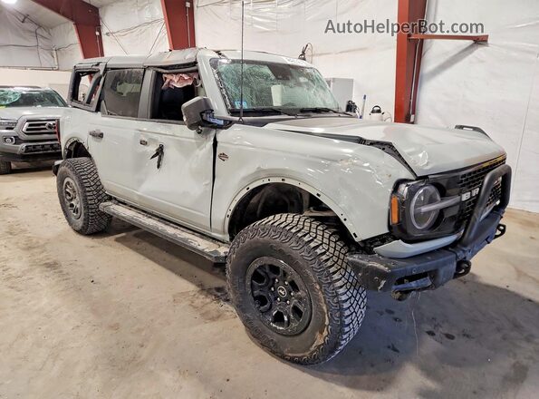 1FMEE2BP1RLB10964 2024 FORD BRONCO Gray Przód prawy