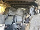 2022 Ford Explorer Xlt Серый vin: 1FMSK8DH8NGA55503