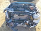 2026 Ford Explorer Tremor Белый vin: 1FMWK8JC2TGA27767