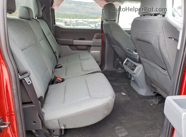 1FT6W3L79RWG07446 2024 FORD F150 Красный Вид задних сидений