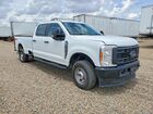 2025 Ford F250 Super Duty Белый vin: 1FT7W2BA9SED90021