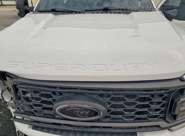 1FT8W2BM9REC76335 2024 FORD F250 Белый Вид задней части салона