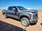 2023 Ford F250 Super Duty Gray vin: 1FT8W2BT5PED70734