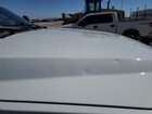 2022 Ford F350 Super Duty Белый vin: 1FT8W3BT4NED77449 Damage: Hood, Hail Damage, 10 Or More 2022 Ford F350 Super Duty Белый vin: 1FT8W3BT4NED77449 Damage: Hood, Hail Damage, 10 Or More