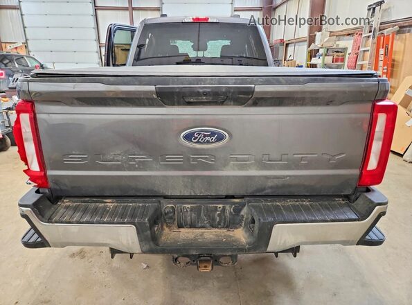1FT8W3BTXSEC13232 2025 FORD F350 Серый Вид сзади