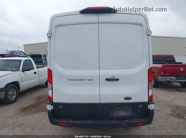 1FTBR1C89RKA94564 2024 FORD TRANSIT-250 Белый 