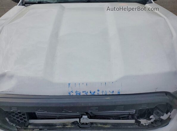 1FTER1EH4MLD80061 2021 FORD RANGER Белый Вид задней части салона