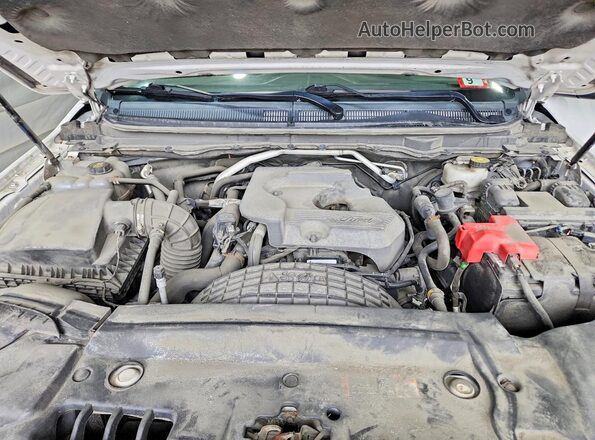 1FTER1EH7KLA99823 2019 FORD RANGER Белый Вид задней части салона