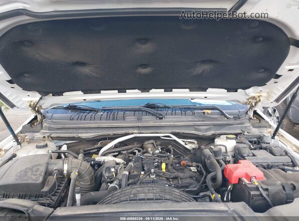 1FTER1FH8LLA50338 2020 FORD RANG Белый Вид сзади