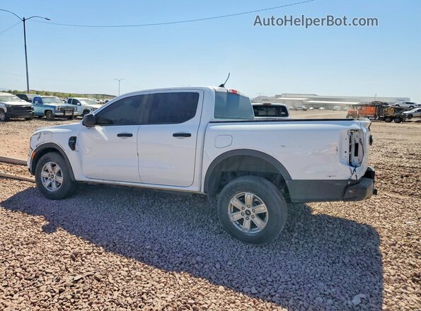 1FTER4BHXRLE55018 2024 FORD RANGER Белый Задняя левая четверть