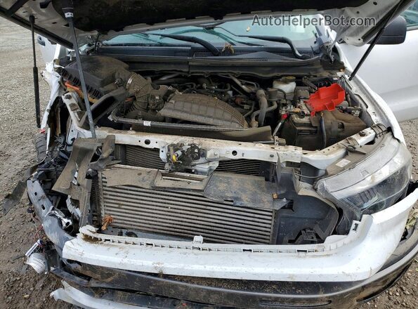 1FTER4FH8MLD23815 2021 FORD RANGER Белый Вид задней части салона