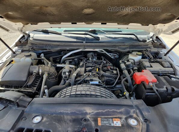1FTER4FH8MLD40615 2021 FORD RANGER Белый Вид задней части салона
