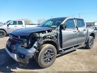 2024 Ford Ranger Xlt Gray vin: 1FTER4HH4RLE28646