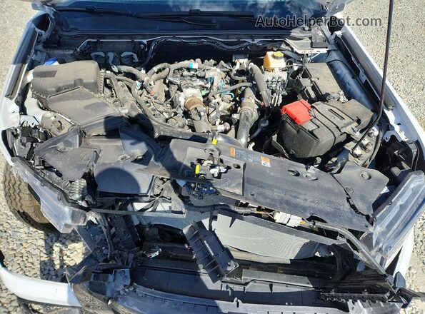 1FTER4HP3RLE44215 2024 FORD RANGER Белый Вид задней части салона