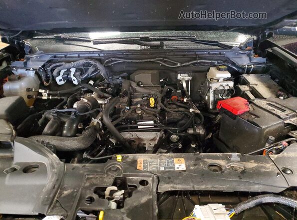 1FTER4KH6RLE30102 2024 FORD RANGER Black Սալոնի հետևի տեսք