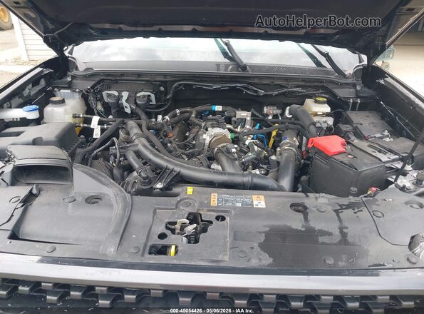 1FTER4KPXRLE49548 2024 FORD RANG Black Widok z tyłu