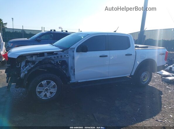 1FTER4PH4RLE41172 2024 FORD RANG White 
