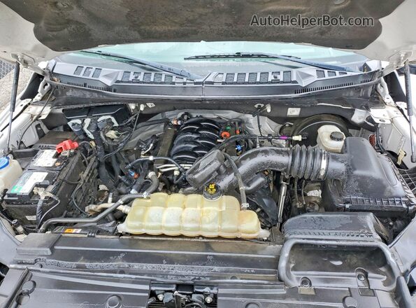1FTEW1C55LFA96629 2020 FORD F150 White Widok wnętrza z tyłu